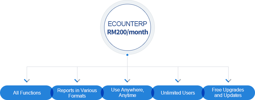 Just RM200/month, But Offer Much More Than a Customized ERP
