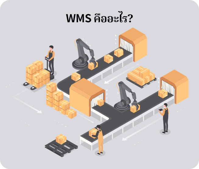 ระบบ WMS (Warehouse Management System) ซอฟต์แวร์ที่ช่วยบริหารจัดการคลังสินค้าให้มีประสิทธิภาพมากขึ้น ตั้งแต่กระบวนการรับสินค้า (Receiving), การจัดเก็บ (Putaway), การหยิบสินค้า (Picking), ไปจนถึงการจัดส่ง (Shipping)