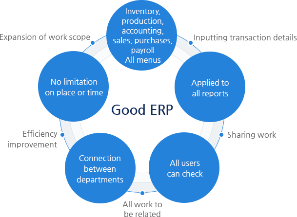 What is a good ERP?