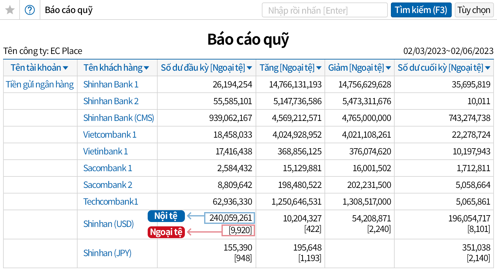 Xem tổng thể cùng lúc số tiền ngoại tệ, nội tệ