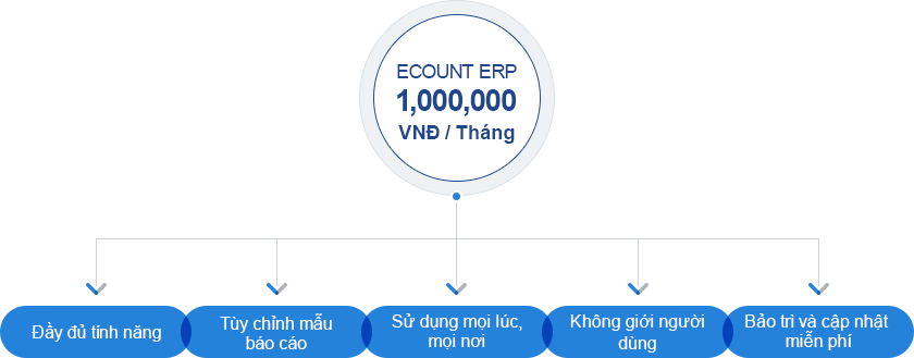 Chỉ 1.000.000 VNĐ/tháng, nhưng lợi ích mang lại còn hơn các phần mềm ERP tùy chỉnh