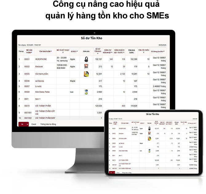 Phần mềm ECOUNT ERP cung cấp báo cáo quản lý tồn kho chi tiết