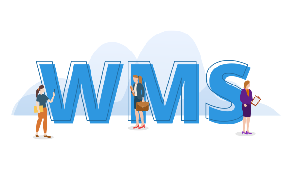 WMS là gì? Tổng quan về phần mềm quản lý kho theo vị trí